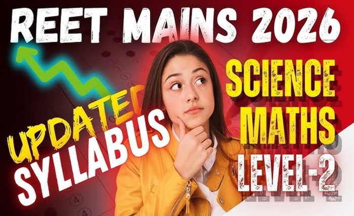 reet mains syllabus level 2