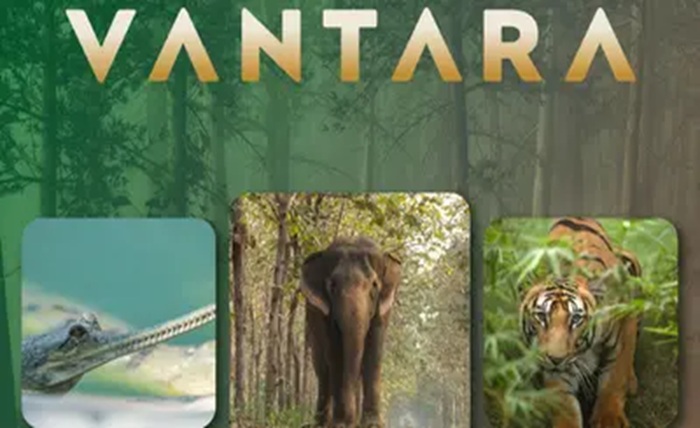 vantara jamnagar photos