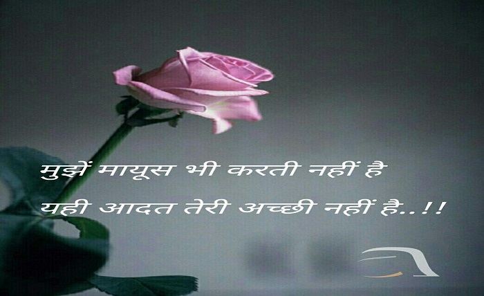 love shayari😍