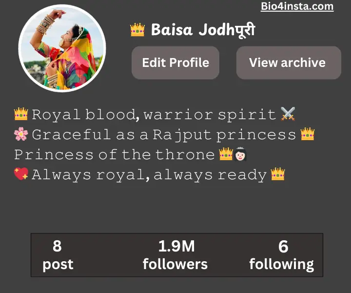 Baisa bio for Instagram in Hindi