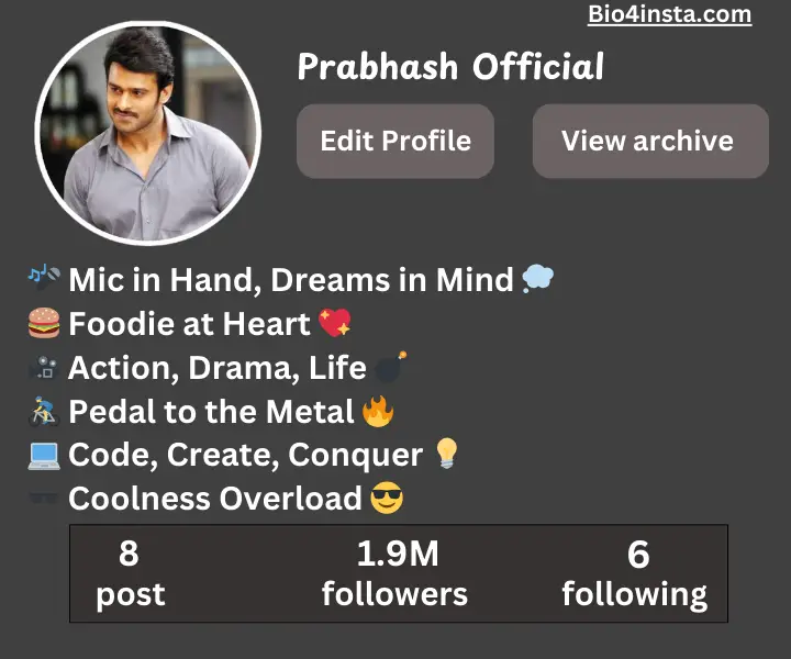 Best Insta BIo For Boy