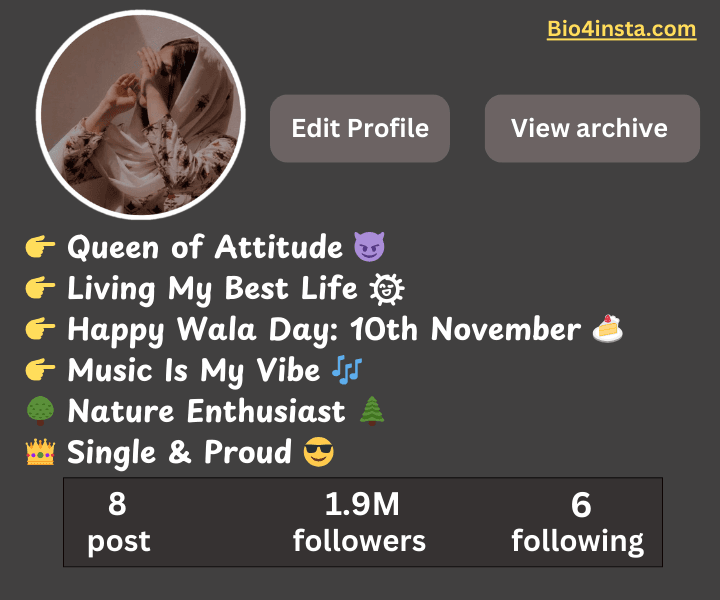 Classy Bio For Instagram For Girl