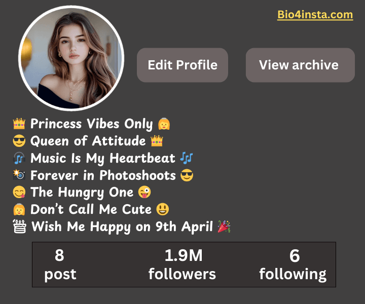 Classy Bio For Instagram For Girl